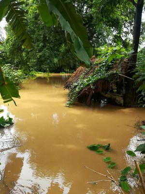 16 dead, over 8 lakh people affected in Odisha floods