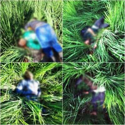 5 suspected Pak intruders shot dead in Punjab (Ld)