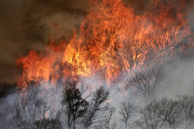 7,012 fires burn 1.5 mn acres of land in California