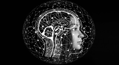 Decoded: How our brain identifies faces like a computer system