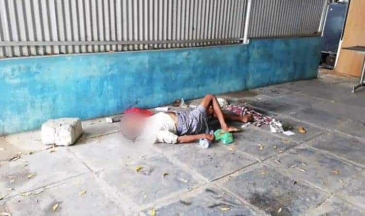 dogs chewing dead body of covid patient