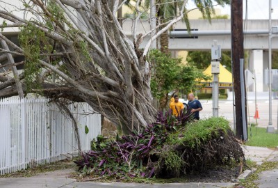 Hundreds still without power in Florida due to storm