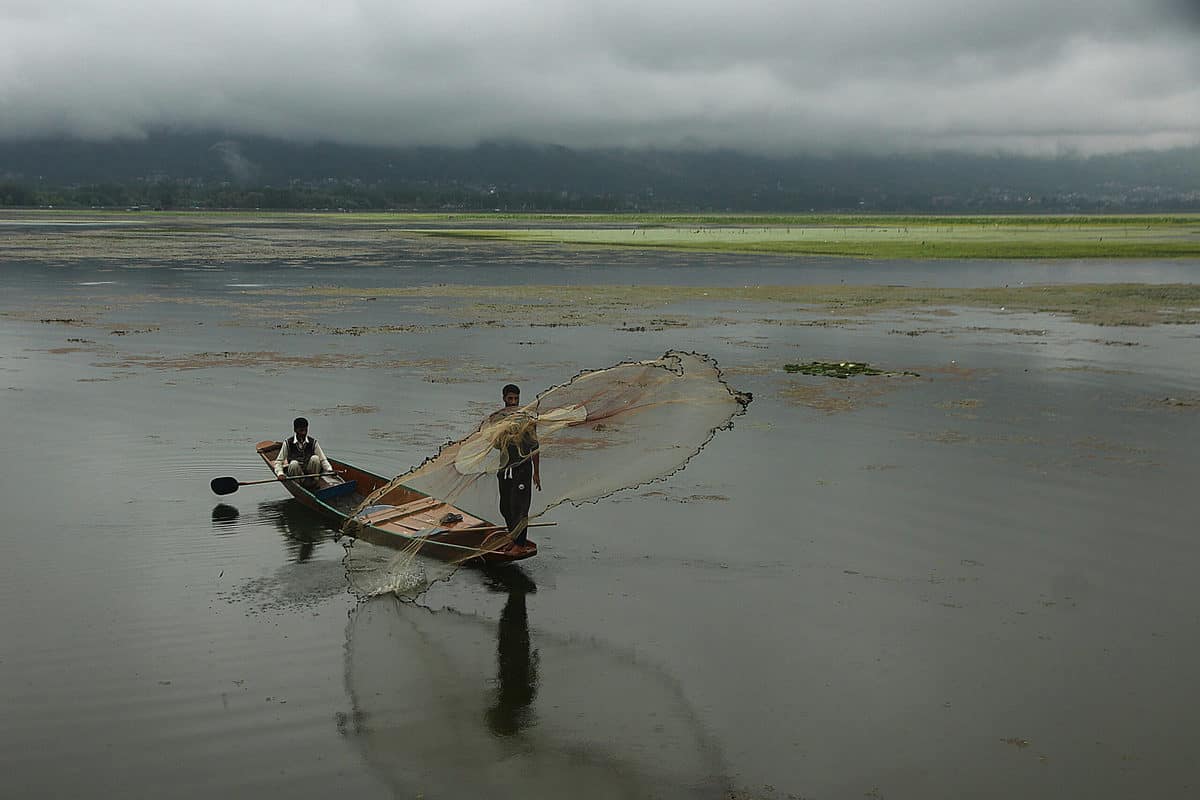 Srinagar Rain