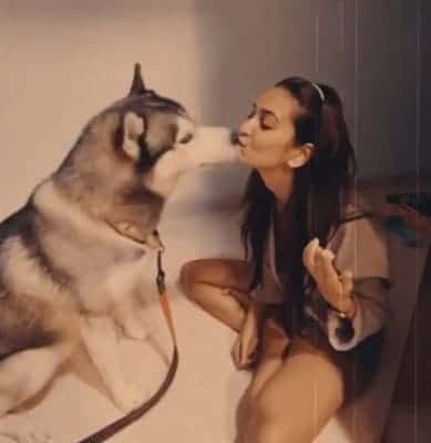 Kriti bakes birthday cake for Pulkit's pet husky Drogo