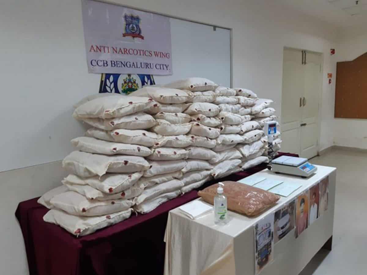 CCB Bengaluru Police seizes ganja worth Rs 1 cr, 3 held