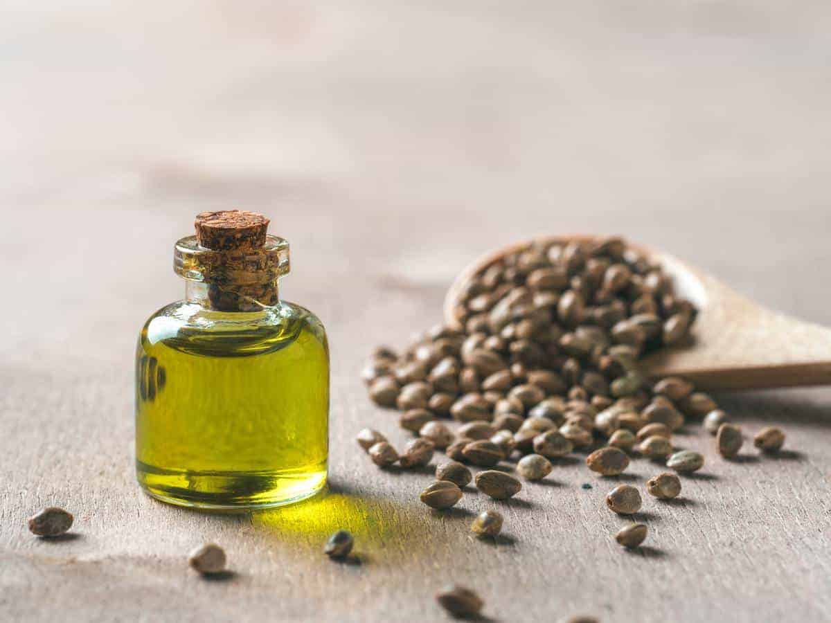Hemp seeds and hemp oil, copy space