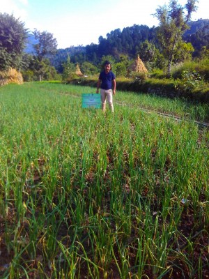 Area under kharif crops reaches new record of 1,095 lakh hectare