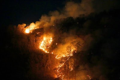Brazil wildfires spark environmental emergency declaration