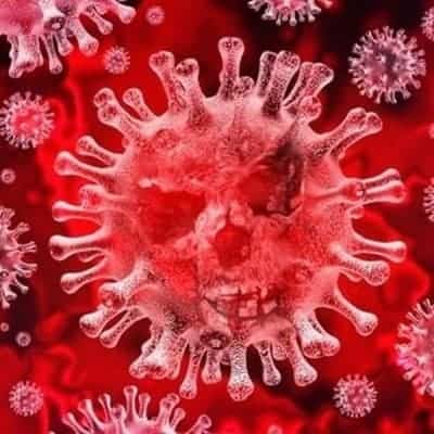 Covid-19 herd immunity may be impractical strategy: Study