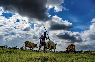 Maha stays contentious order implementing new farm laws (IANS IMPACT)