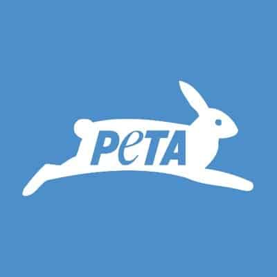 PETA India seeks probe into Jaipur elephant deaths