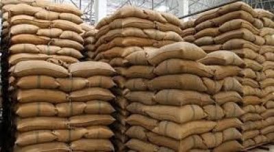 Paddy worth Rs 10.53 cr purchased only in 2 days in Punjab, Haryana (Ld)