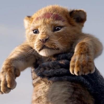 'The Lion King' to have a follow-up