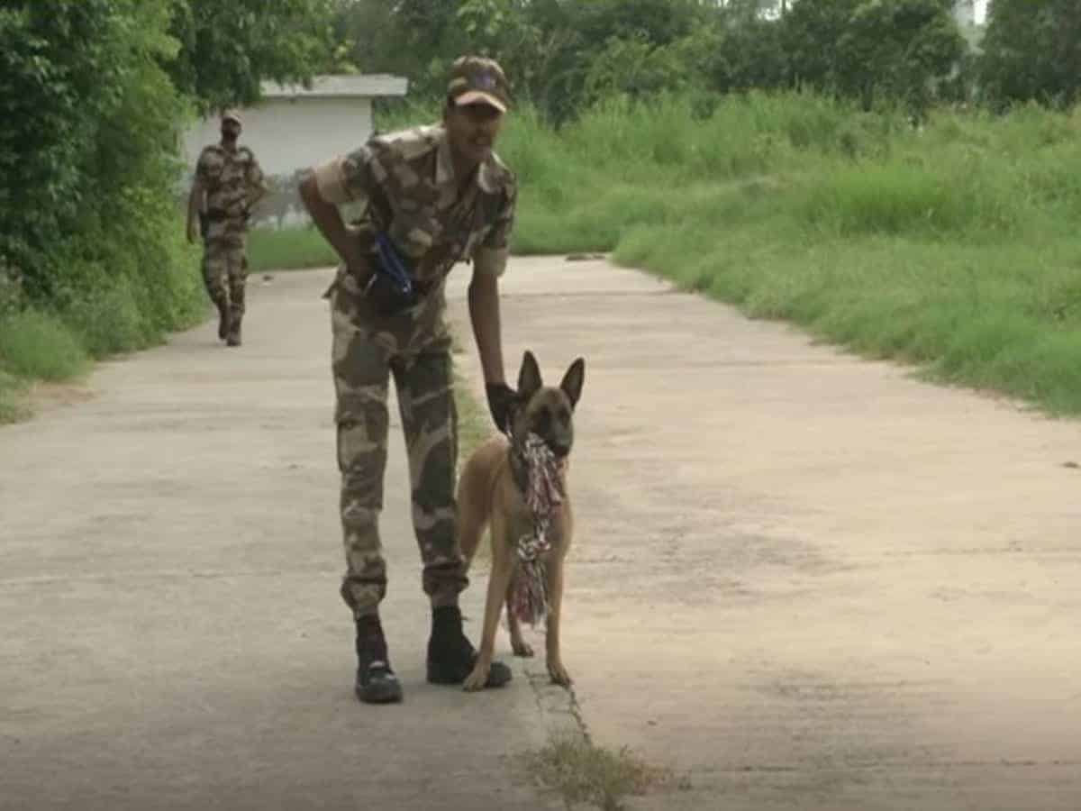 'Polo' gets his first posting: Dog of breed that helped eliminate Osama bin Laden to guard Delhi metro from next week