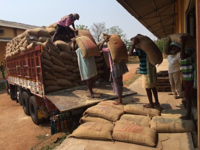 32,12,439 MT paddy purchased from over 2.83L farmers till Oct 9