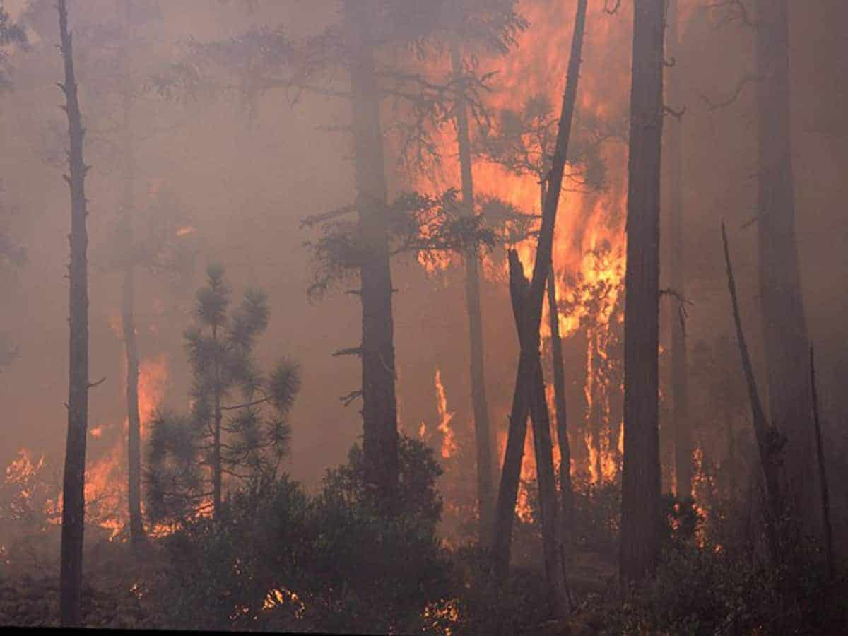 Africa's highest peak Mount Kilimanjaro on fire
