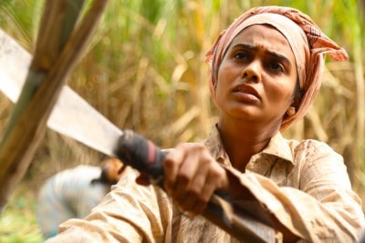 Ananth Mahadevan's 'Bittersweet' in competition at Kolkata film fest