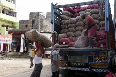Export of certain onion varieties in limited quantities allowed (Ld)