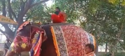 Ramdev falls off elephant, no injuries