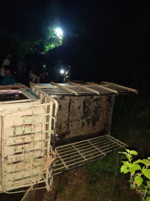 Seven killed as vehicle rolls off hilltop in Andhra