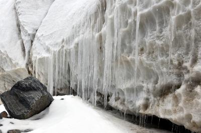 Some glaciers are also advancing: Geology professor