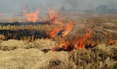 Stubble burning to add 26% to Delhi's air pollution: SAFAR
