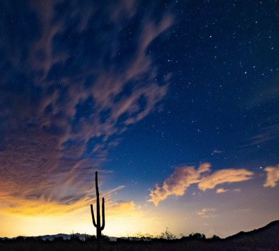 First, they called Arizona for Biden. Now it's on knife edge (IANS Explainer)