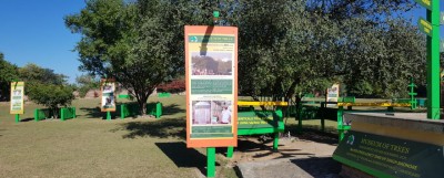 Chandigarh to get another landmark -- Museum of Trees