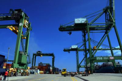 'China's domestic demand rises sharply in October'