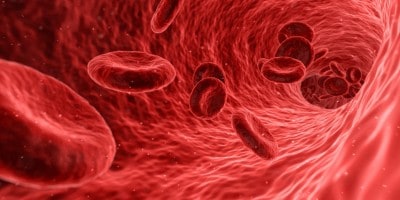 Covid virus may block formation of key red blood cells