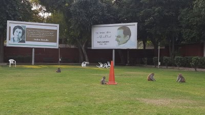 In absence of workers, monkeys rule Cong headquarters