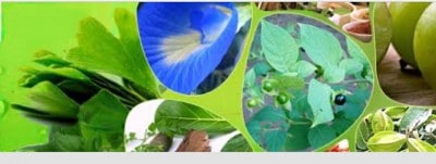 Ministry to set up SPFB for spurring Ayush growth