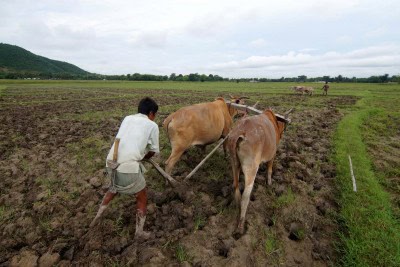 Monsoon Mission to benefit 1.07 crore people: NCAER report