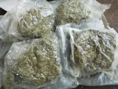 NCB raids producer Firoz Nadiadwala's home, nabs wife with drugs