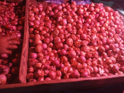 No respite from rising onion prices till Dec, potato prices decline