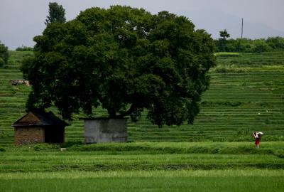 Registration of non-agri land on Telangana's online portal from Nov 23