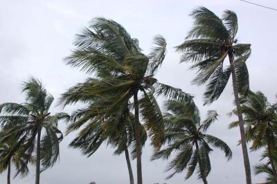Thunderstorms in south coastal Andhra, Rayalaseema on Wednesday
