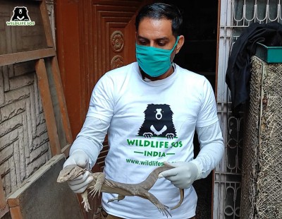 Uninvited visitor has Agra family in shock