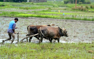 Bharat Bandh: Govt issues advisory to states to maintain peace (Intro Roundup)