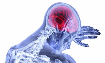 Bionic touch didn’t remap human brain ever after a year: Study