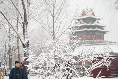 China renews alerts for fog, cold wave