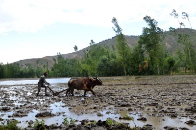Government crafts fact check campaign on farmer laws