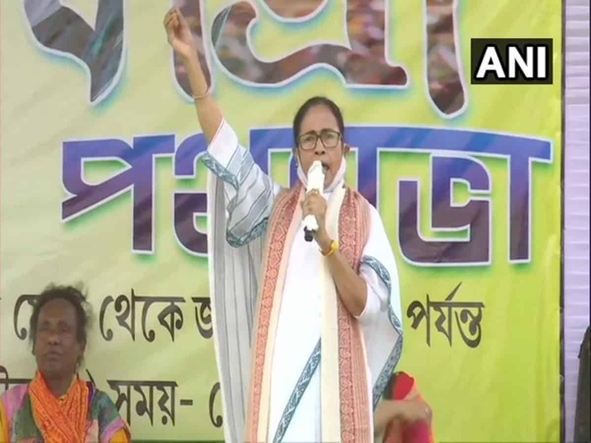 Mamata