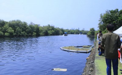 Not a single rupee from Centre for Mithi River clean-up: RTI