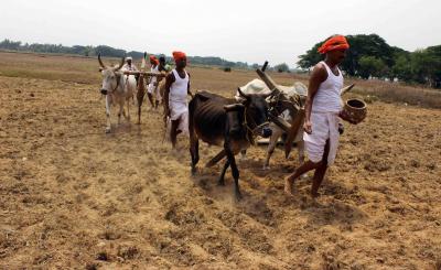 Odisha cabinet resolves to move Centre on MSP of all crops