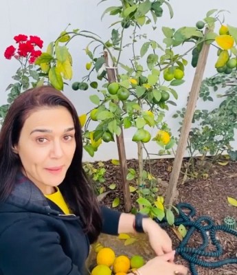 Preity Zinta is back to 'ghar ki kheti'