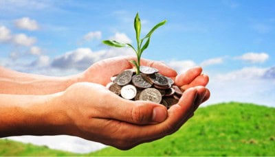 Rs 255 cr assets of companies fraudulently availing agri loans attached