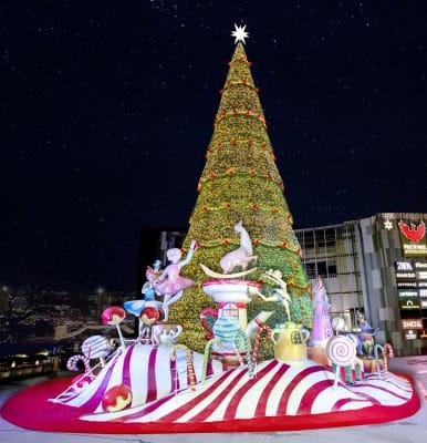 Subdued X'Mas festivities in Bengaluru amid Covid curbs