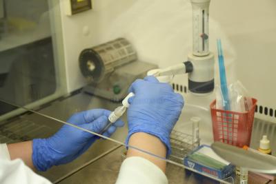 Africa's confirmed Covid cases top 2.72 million