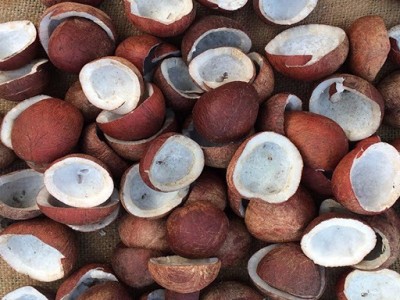CCEA approves hikes in MSP of copra for 2021 season